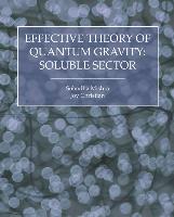 Effective Theory of Quantum Gravity:Soluble Sector